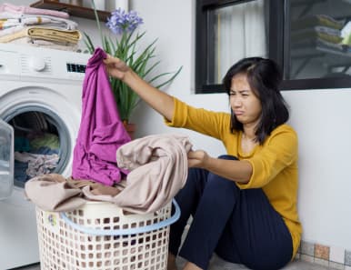 Professionally Ironed Clothes by LavaBranco